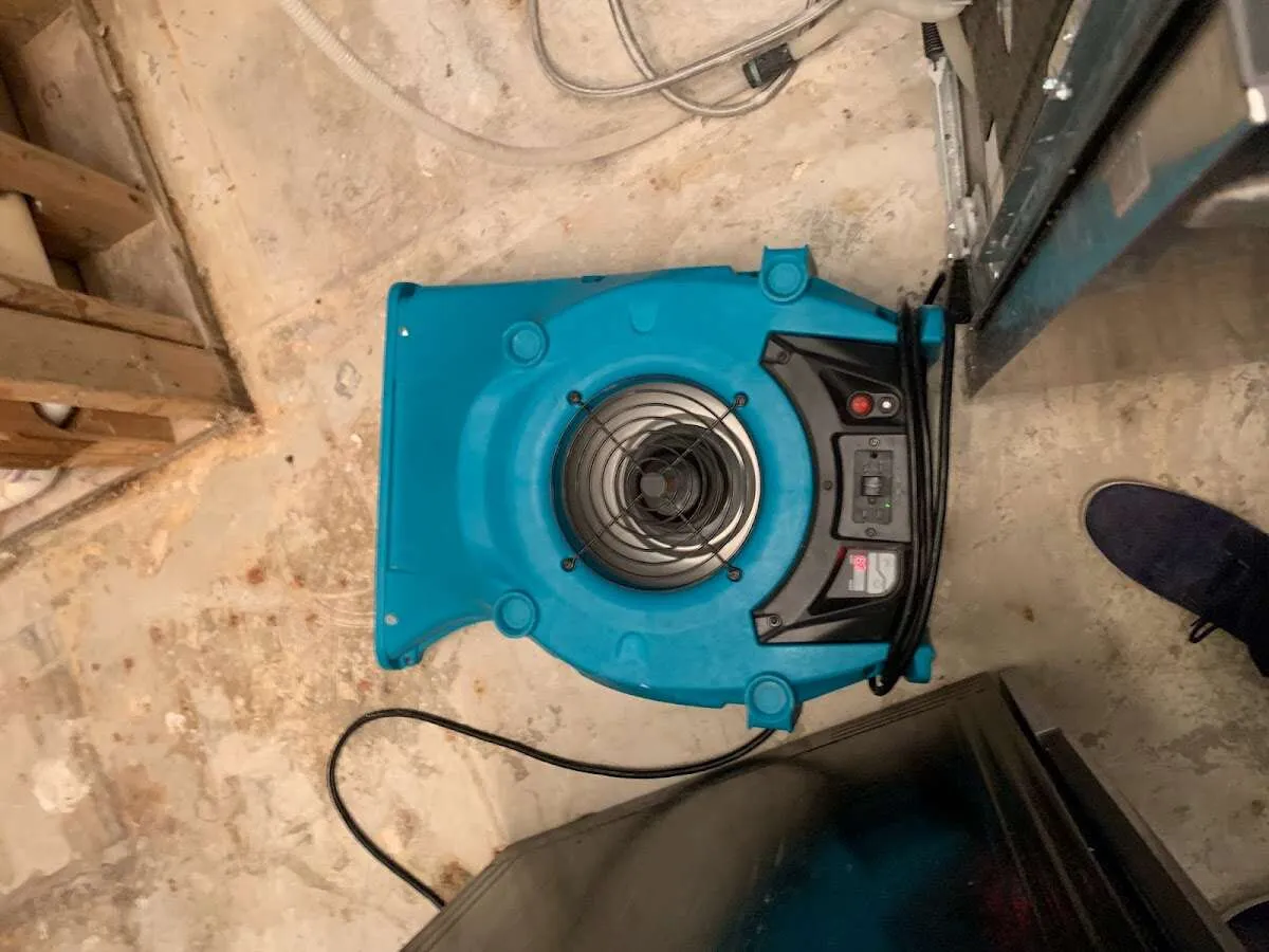 Air mover drying equipment for Mold Remediation & Removal in Grandview